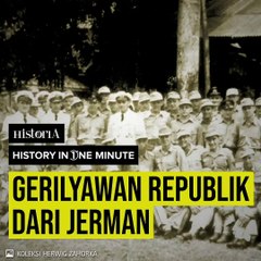 Gerilyawan Republik dar Jerman