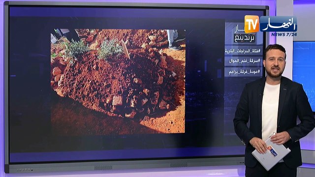 النهار ترندينغ: موت الدراجة نغم وبكاء الراعي على غنمه المسروقة يلقى تعاطف الجزائريين ويلهب مواقع التواصل الإجتماعي