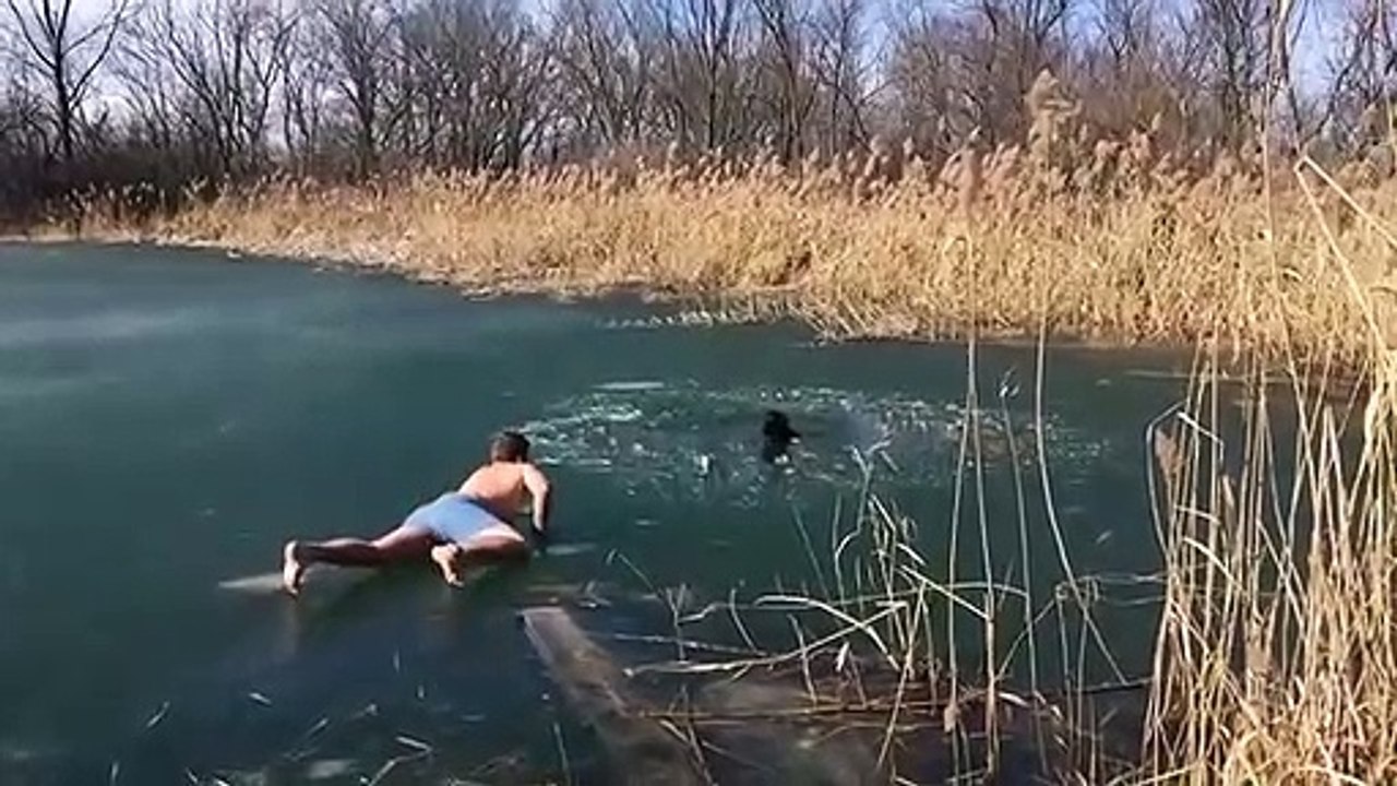 Il prend d'énormes risques pour sauver ce chien tombé dans un lac gelé