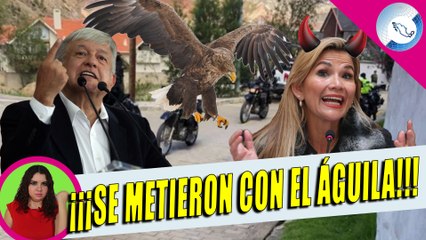 Bolivia Ataca Nuevamente a La Embajada De México Con Halcones; Quieren Ir Por AMLO