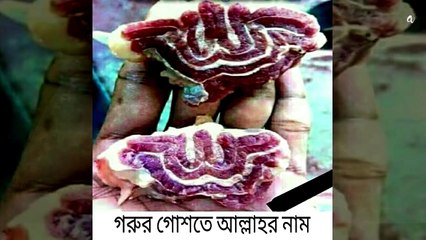মিথ্যা খবর ছড়ানোর ভয়াবহতা