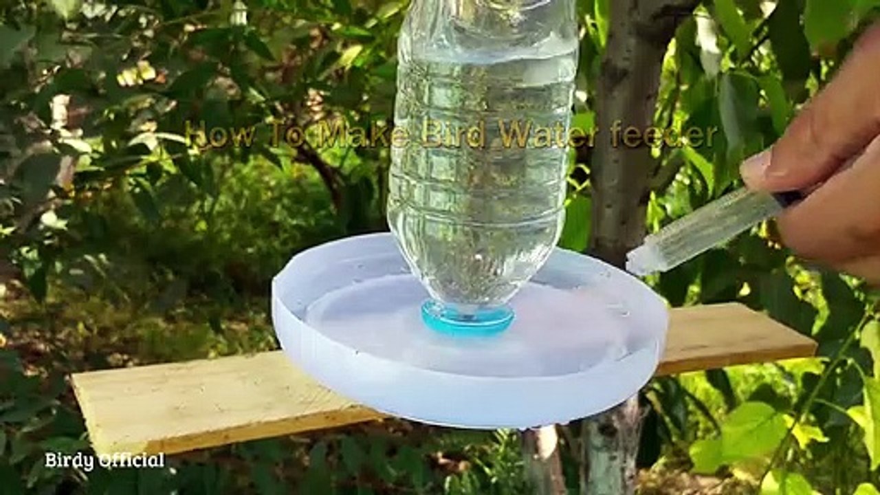 Where should we hand bird feeder for humming birds?