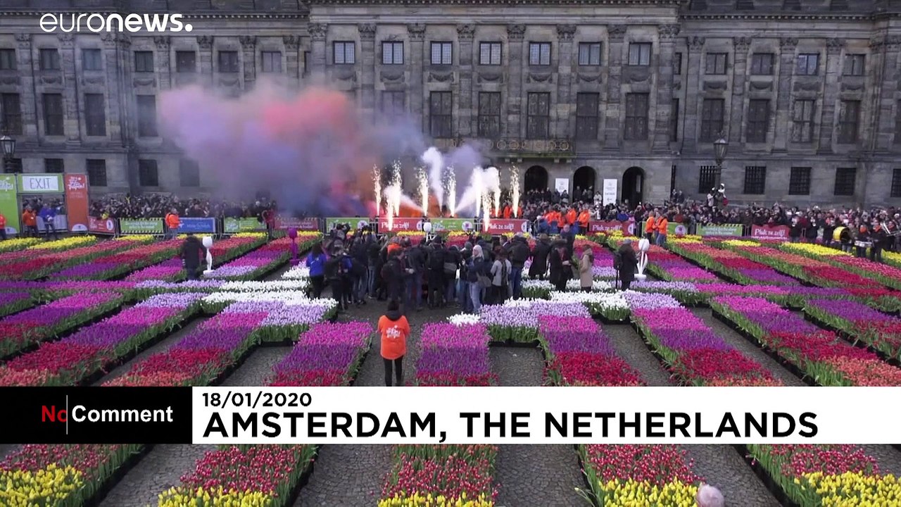 Blumen kostenlos: Tag der Tulpen in Amsterdam