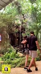 فوز العتيبي تستعرض تجربة زواجها بعد حوالي سنة