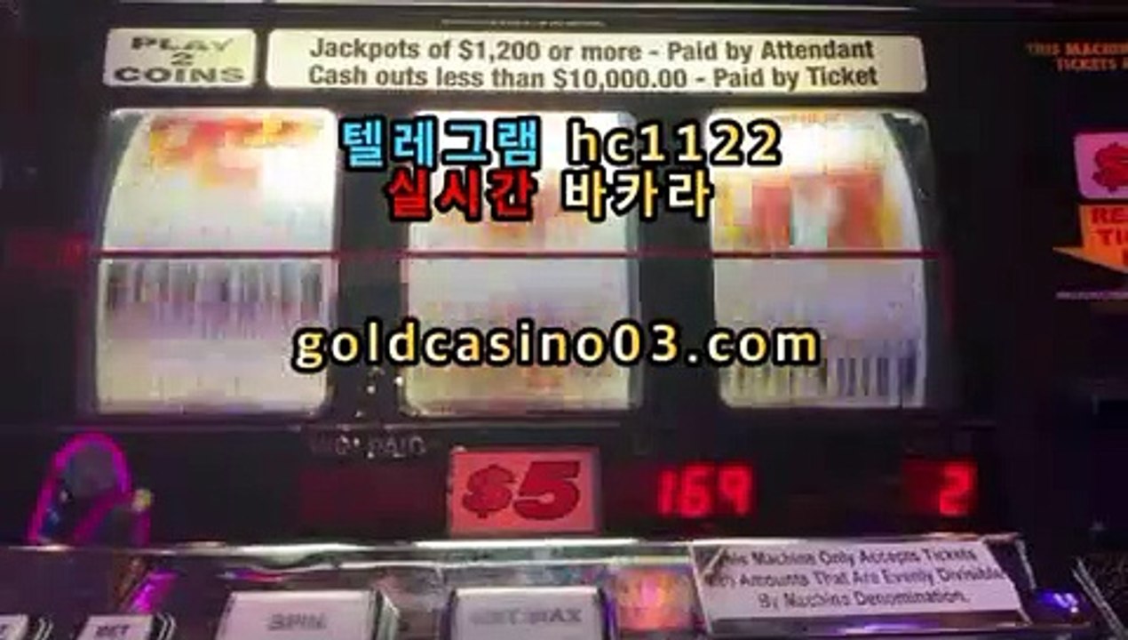 바카라  바카라사이트  카지노  카지노사이트