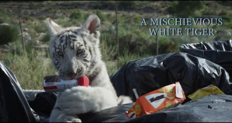 Toby's Big Adventure Movie Trailer 🎬