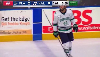 Game Recap - Florida Everblades at Kalamazoo Wings