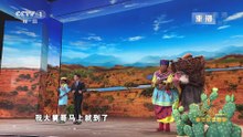 [2018央视春晚]小品《同喜同乐》表演郑恺娄乃鸣大兵等字幕版