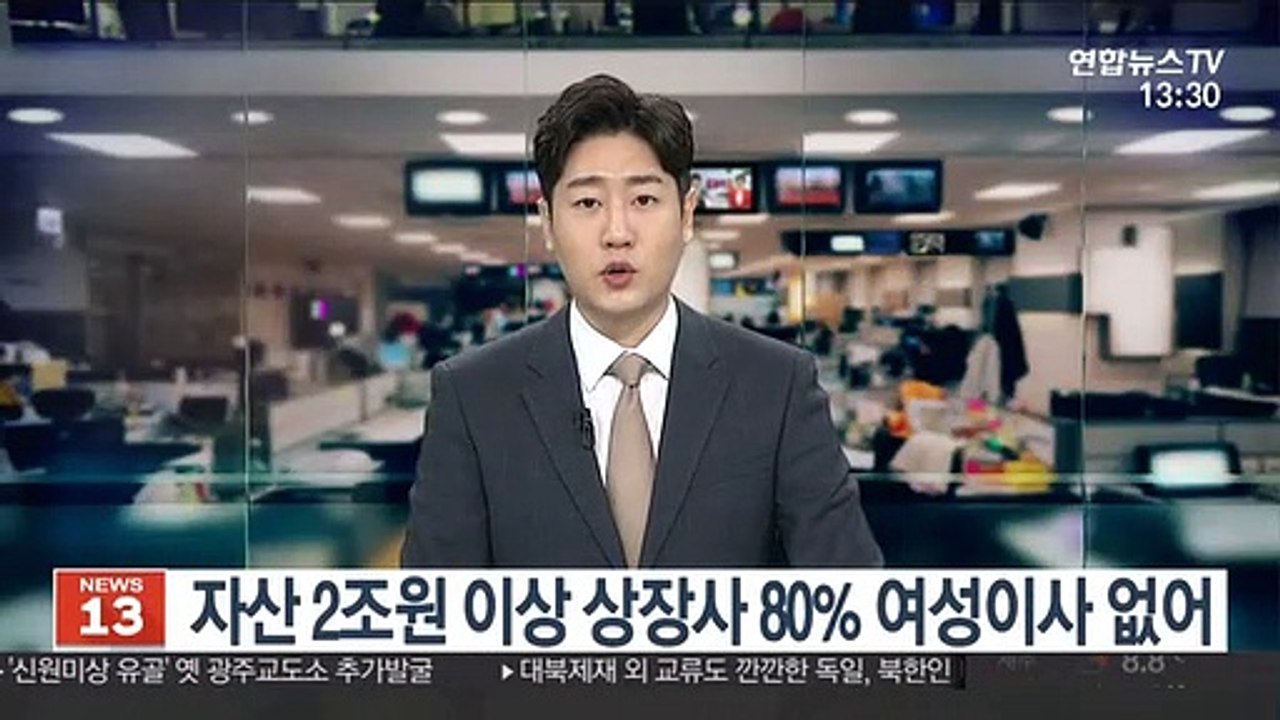 자산 2조원 이상 상장사 80% 여성이사 없어
