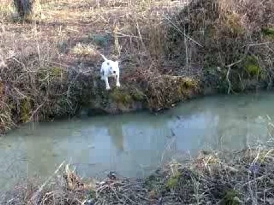et on se jette a l eau