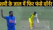 India vs Australia, 3rd ODI: David Warner departs, Mohammed Shami strikes | वनइंडिया हिंदी