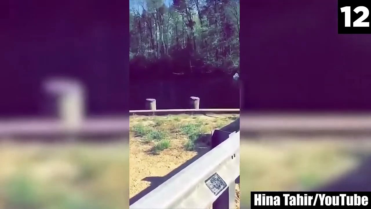 Scariest Camping Encounters Caught on Tape