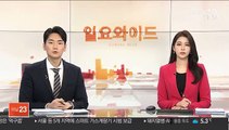 네팔 한국인 실종자 수색 재개…신속대응팀 추가파견