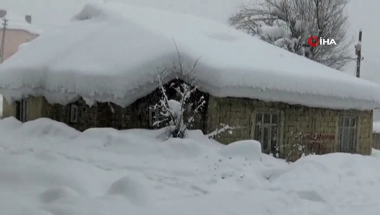 Yüksekova'da tek katlı evler kara gömüldü