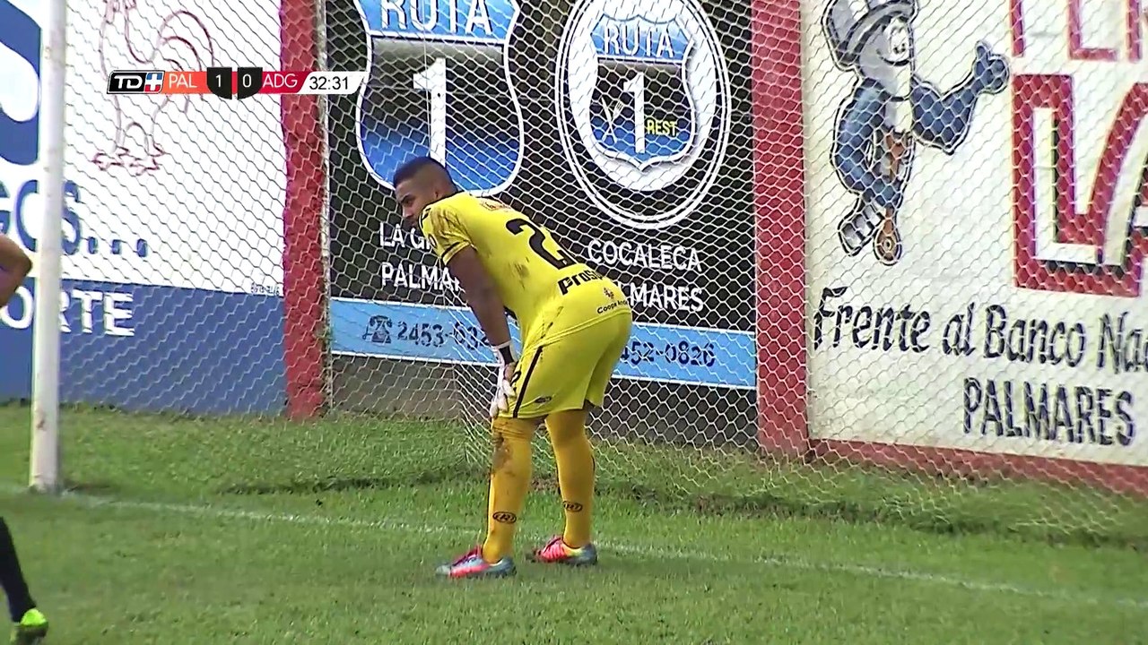 Cofutpa vs. Guanacasteca