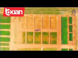 Histori shqiptare nga Alma Çupi - Plerat Inteligjente AgroBlend!