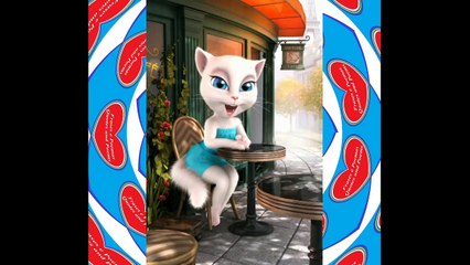 Boa tarde gatinho, como vai? Você é bonito e atraente! [Mensagem] [Frases e Poemas]