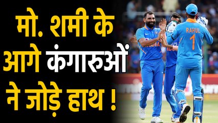 Descargar video: IND vs AUS 3rd ODI: Mohammed Shami rocks Australia with deadly yorkers | वनइंडिया हिंदी