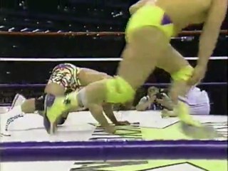 The Steiners vs Hase and Sasake 3-21-91 (English Commentary)