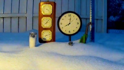 Brian the Brachiosaurus' weekend weather report