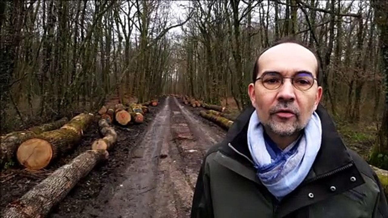 Meuse : les conseils d'Arnaud Apert, technicien à la chambre d'agriculture, aux propriétaires forestiers privés