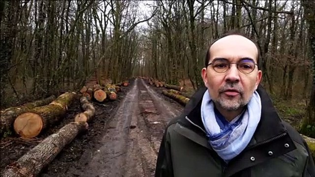 Meuse : les conseils d'Arnaud Apert, technicien à la chambre d'agriculture, aux propriétaires forestiers privés