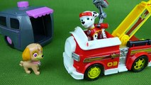 Paw Patrol All Stars Pups Toys Marshall Get's Ready for Bed Funny Bedtime Routine Toy Video for Kids