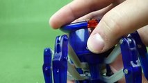 The Itsy Bitsy Remote Control HexBug Spider Micro Robotic Creatures and Toys-