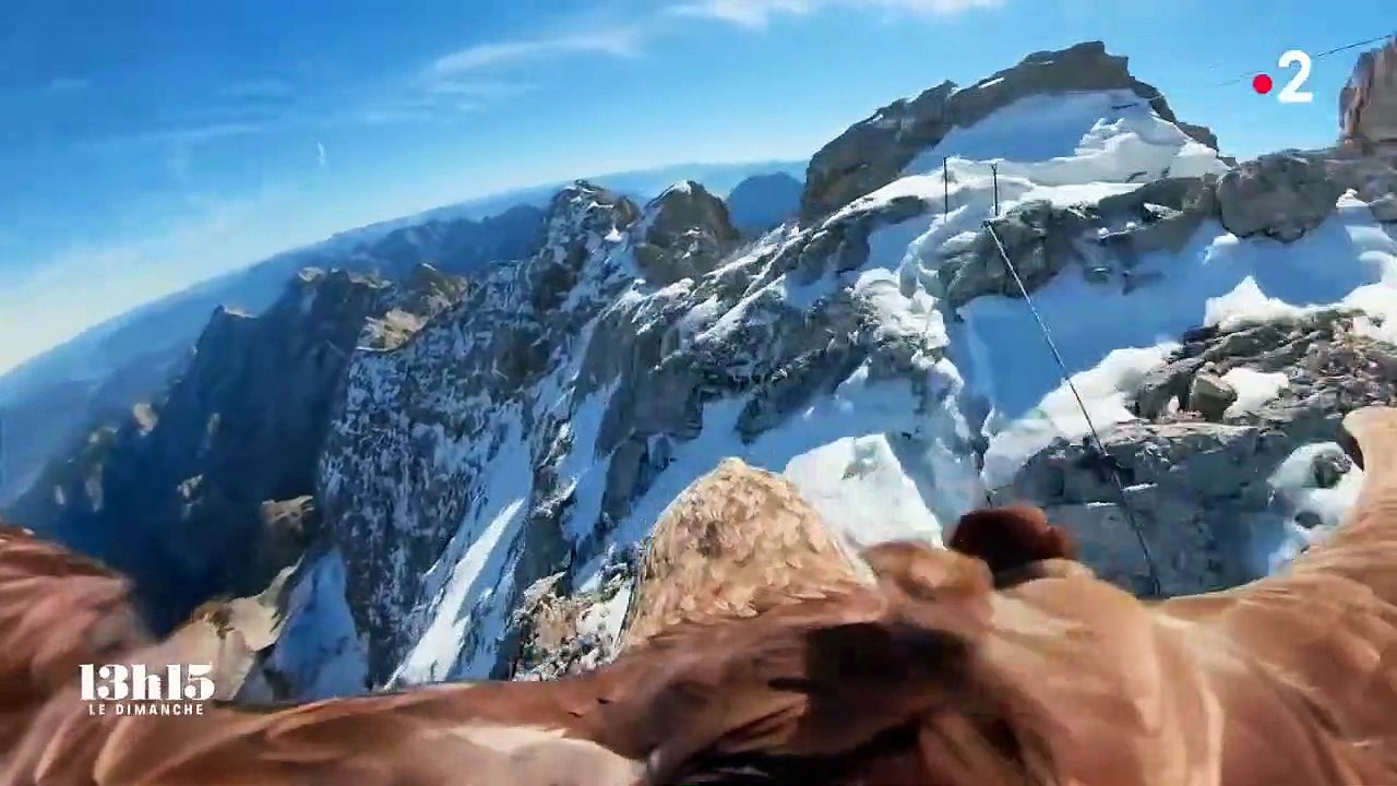 Sur le dos d'un aigle pêcheur au-dessus du massif du Mont-Blanc dont les glaciers fondent aujourd'hui à vue d'œil