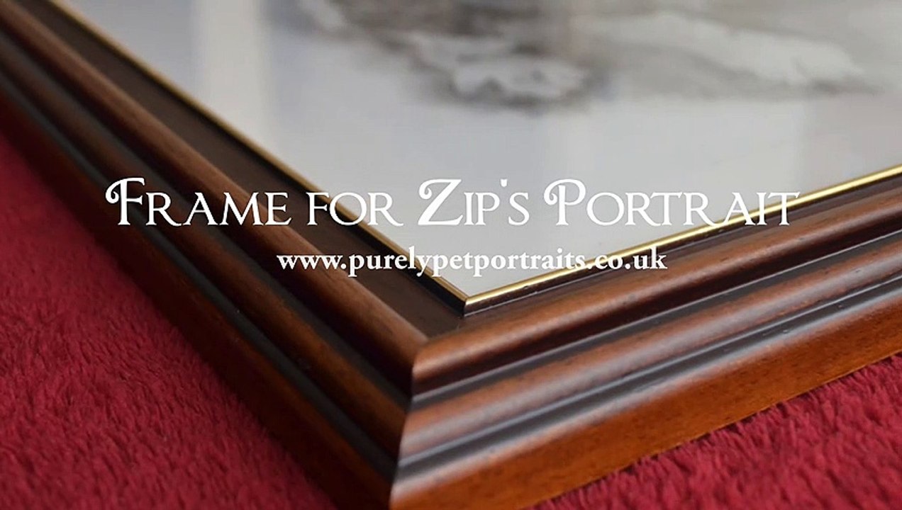 Frame for Zip's portrait