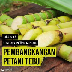 Nasib Petani Tebu Zaman Orba