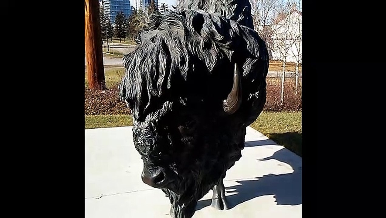 Buffalo statue