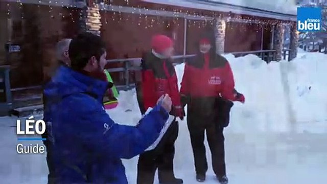 Voyage en Laponie : les chiens de traîneaux