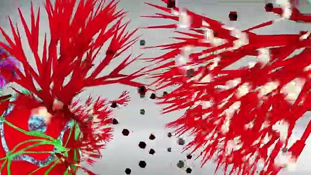 LIVING WITHOUT DIABETES The truth convinces reason