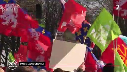 Loi de bioéthique : Les anti-PMA dans la rue