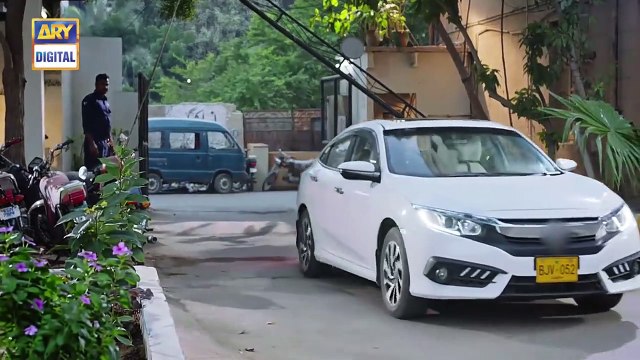 Meray Paas Tum ho episode 14 Pakistani drama