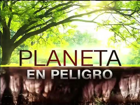 Tras 72 horas los mas de 400 bomberos lograron sofocar el incendio forestal en el norte de Quito, Ecuador
