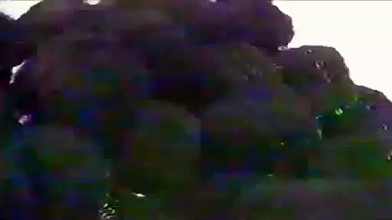 Vinheta: TV Pernambuco 1995