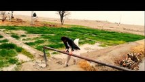Village life Pakhtoon land ep oo6 By Pakhtoon Vlogs