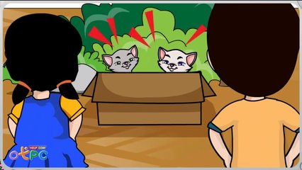 ประสบการณ์เกี่ยวกับสัตว์ - วิทยาศาสตร์ ป.1