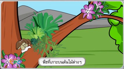พืชในท้องถิ่น - วิทยาศาสตร์ ป.1