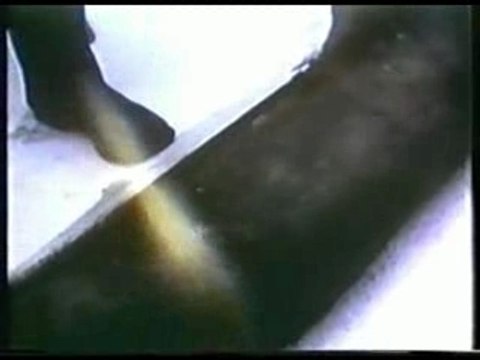 La société elle a mauvaise haleine - Bazar animal