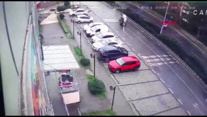 Araçtaki köpek sürücünün üzerine atlayınca kazaya neden oldu