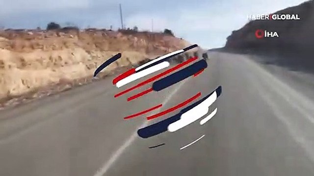 Denizli'de domuz sürüsü böyle görüntülendi