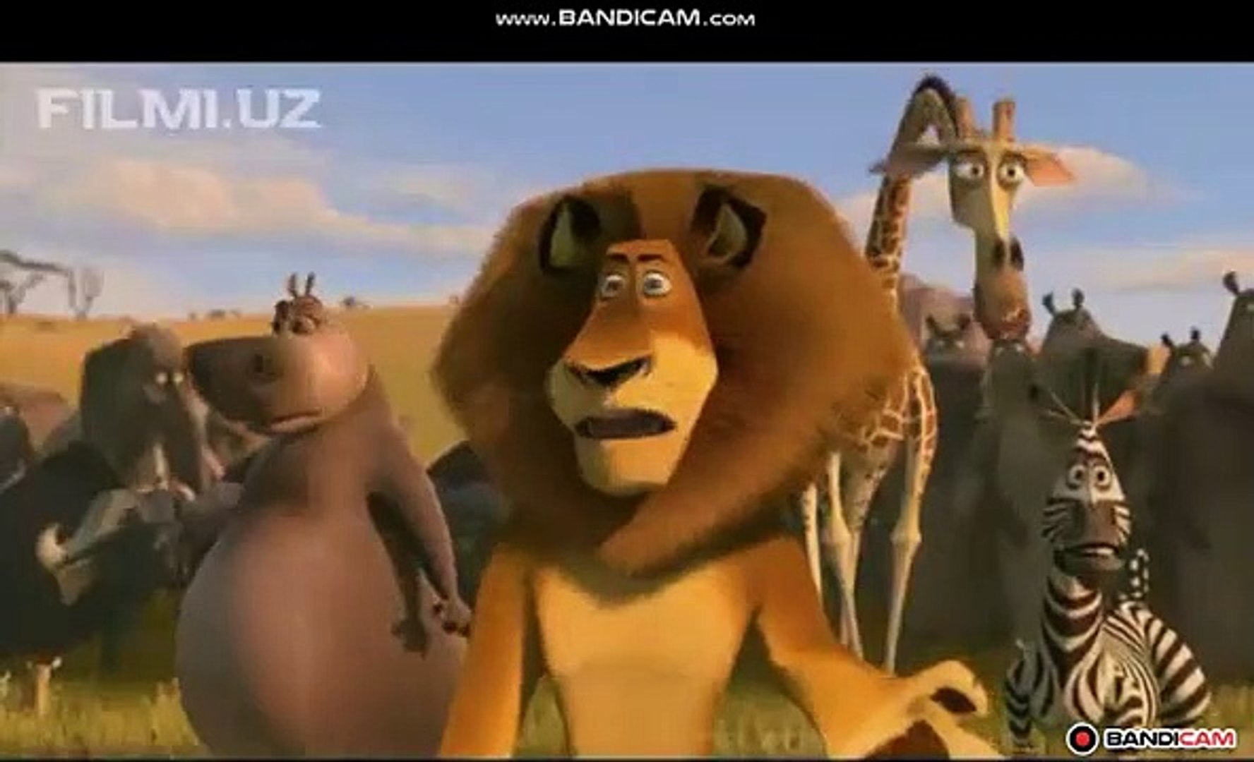 File:Lions on rock-2.jpg - Wikimedia Commons, image size:1776x1080