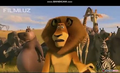 Madagascar  Madagascar- Escape 2