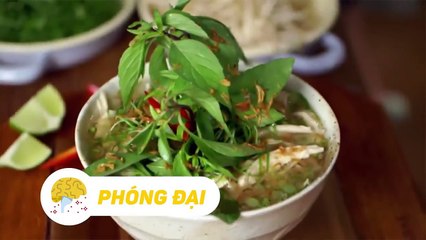 Những Bí Kíp GIẢM CÂN giành cho chị em xôi thịt
