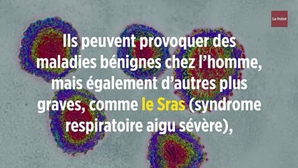 Mystérieux virus en Chine : l'inquiétude grandit