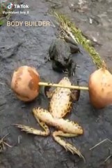 VID-20191123-WA0009 #funny