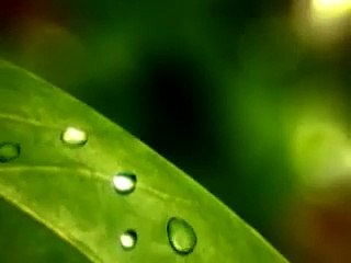 Test video upload help of Postman Api Calling